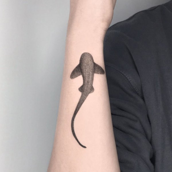 shark fish tattoo
