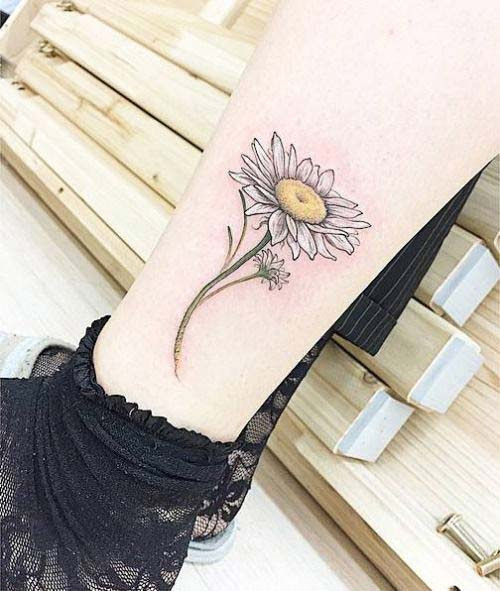 Best Daisy tattoos Best daisy tattoos designs Ideas