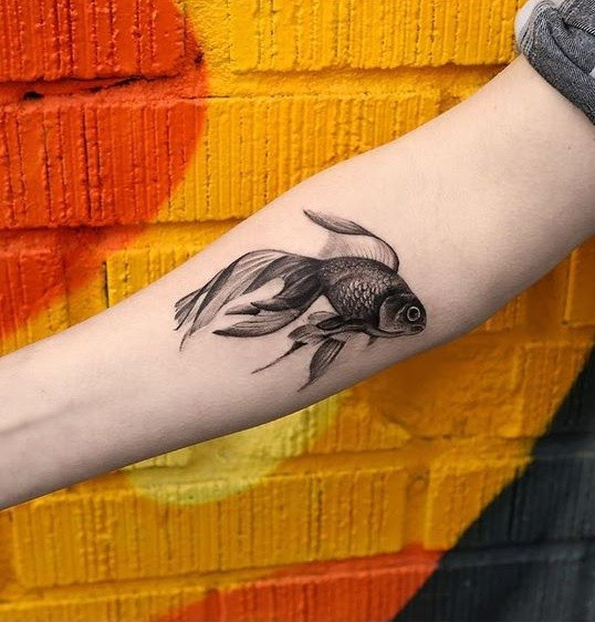 Fish Tattoos Best Fish Tattoos designs ideas
