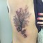58 Coolest Tree Tattoos Designs And Ideas For Men And Women