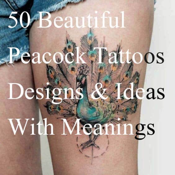 Best peacock tattoo designs ideas
