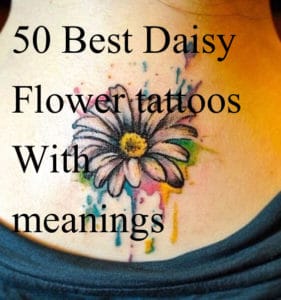 50+ Cute & Best Daisy Tattoos And Ideas With Meanings