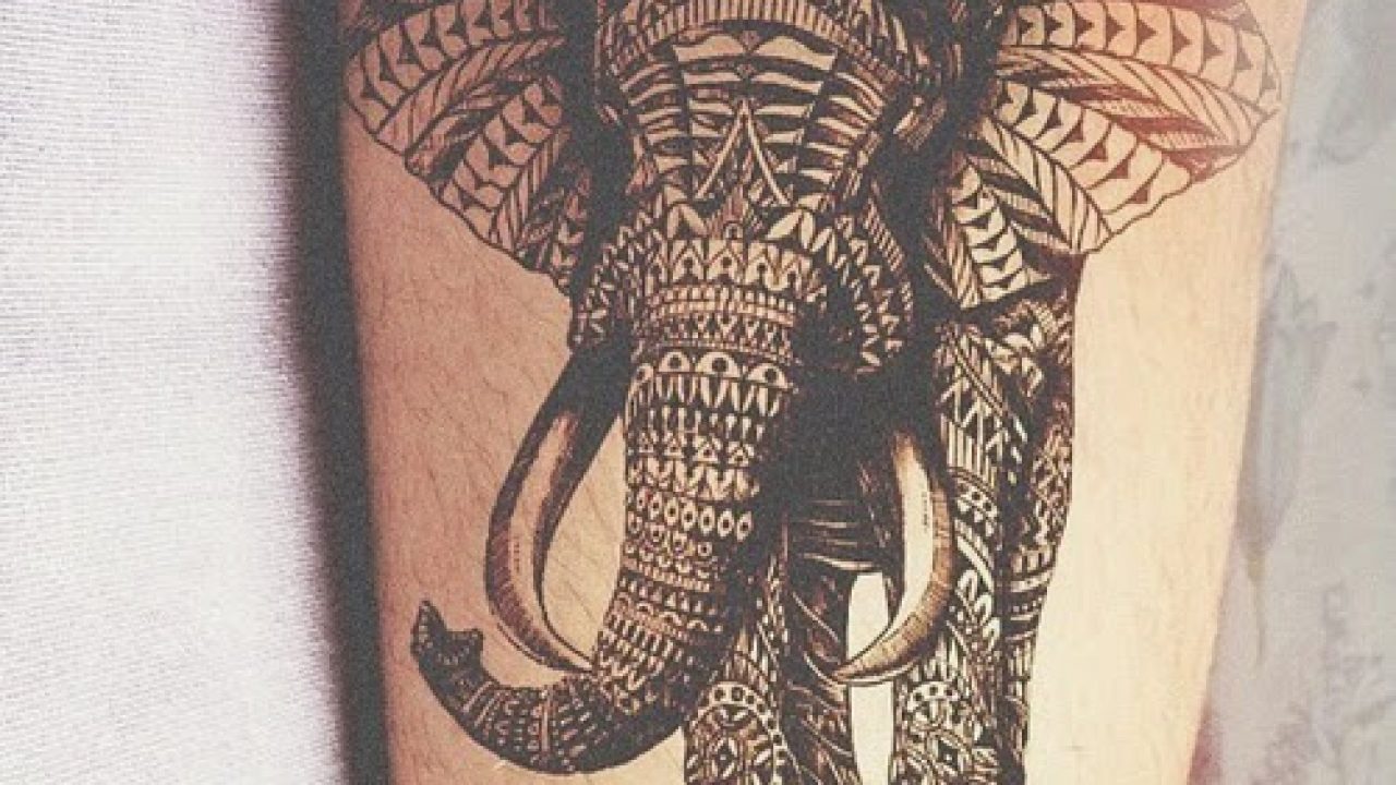 70 Best Elephant Tattoo Designs And Ideas Tattoosme