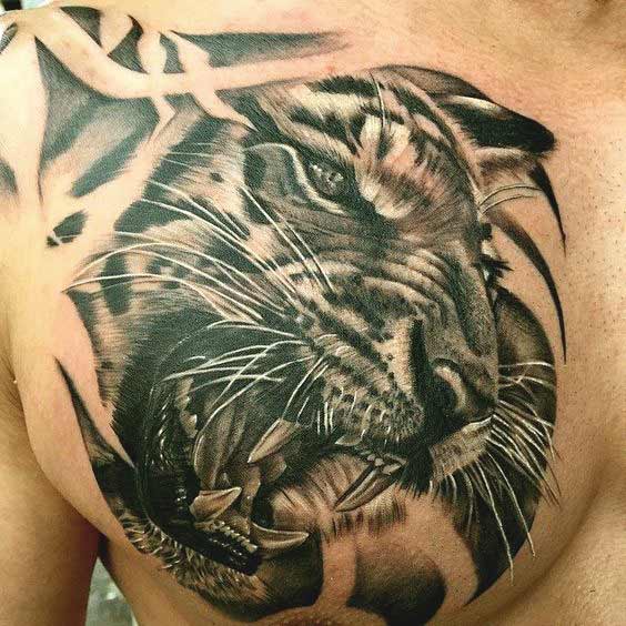 Tiger tattoo designs on chest for men