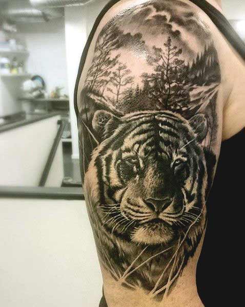 Tiger tattoo designs on arm and shoulder for boys