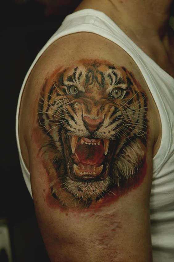 Tiger tattoo designs on shoulder for men