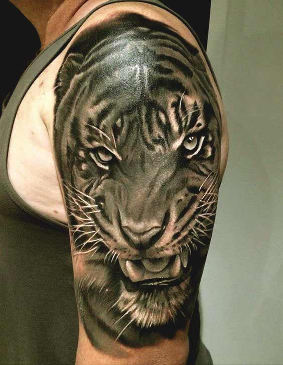 Black tiger tattoo designs on shoulder for guys