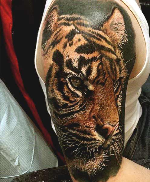 Tiger face tattoos designs on arm for guys