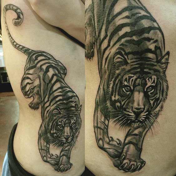 Black and white tiger tattoo on ribs ideas for men