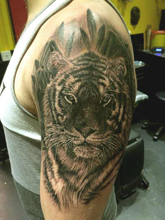 Best Tiger tattoo designs for biceps