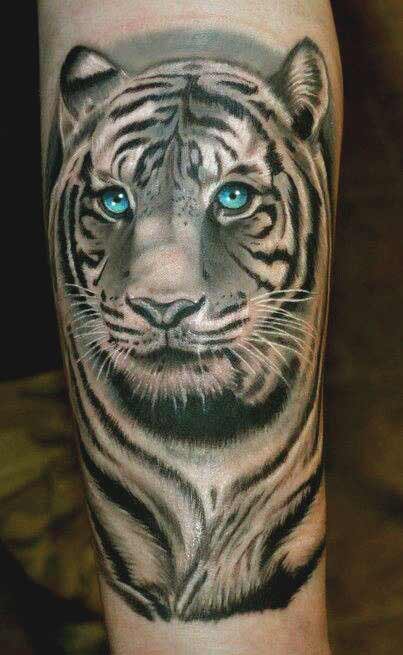 White tiger face with blue eyes tattoo on arm