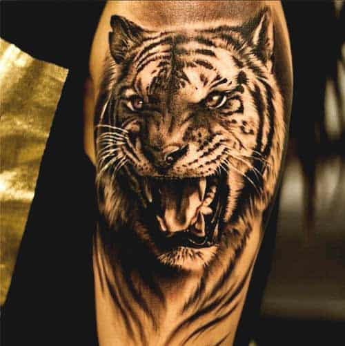 Tiger tattoo designs on arm ideas for men