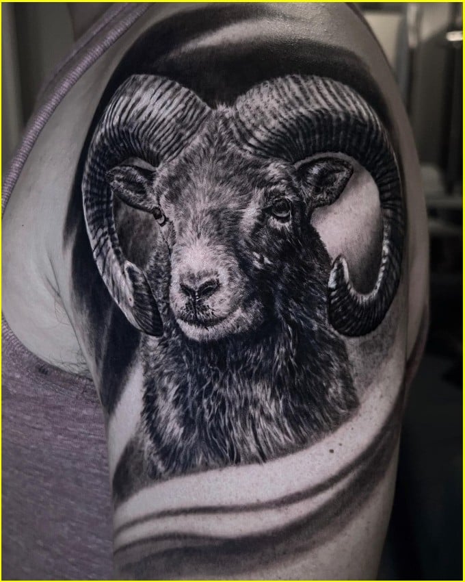 realistic aries ram tattoo