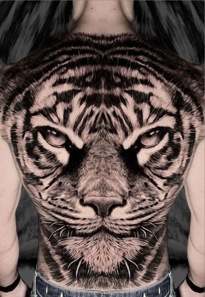 tiger face full back tattoos