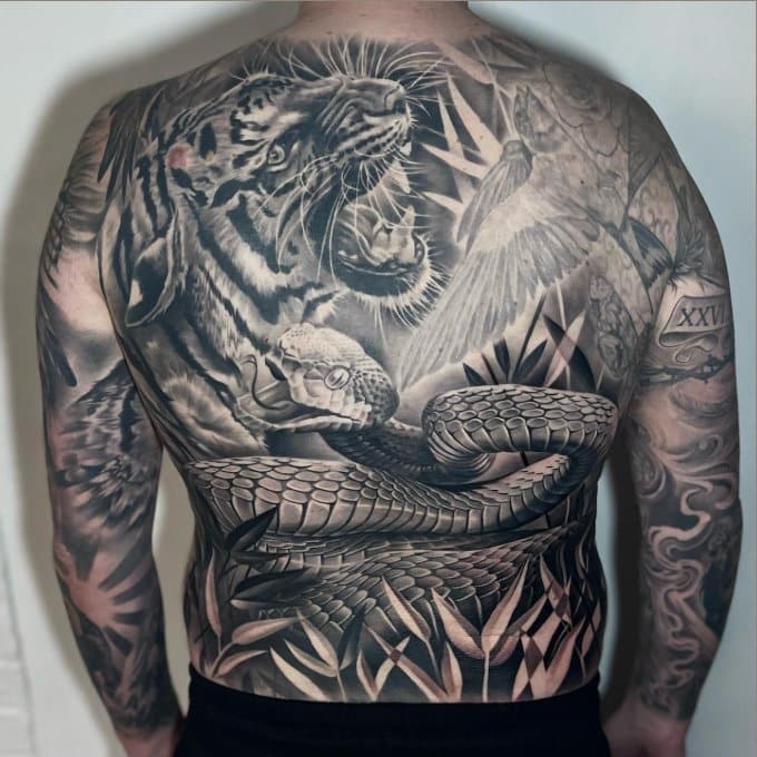 tiger & snake back tattoo designs for men
