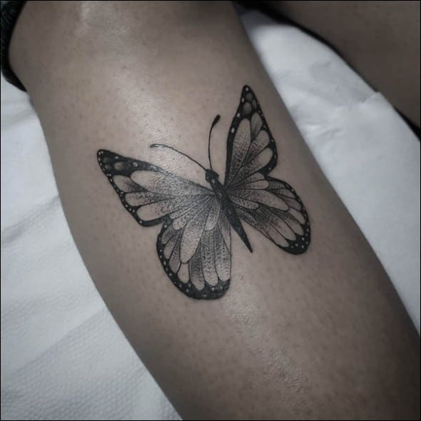 Tattoo tagged with butterfly black and grey  inkedappcom