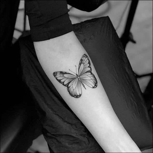 Tattoo tagged with feminine butterfly watercolor black and grey  shoulder  inkedappcom