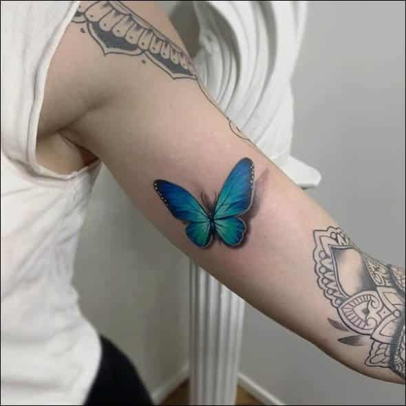 Download Simple Tattoo Designs Butterfly 3d