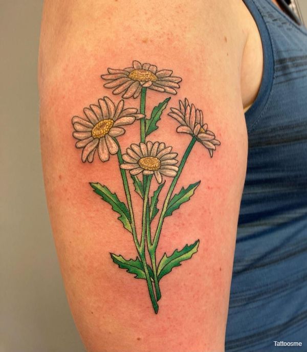 multiple daisy tattoos