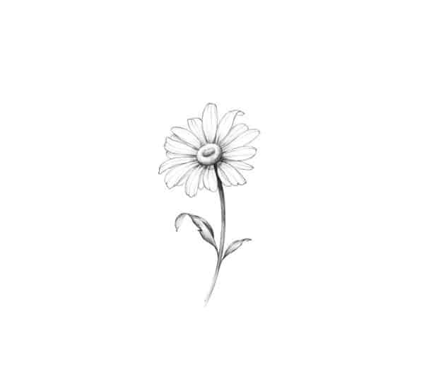 daisy tattoos drawings