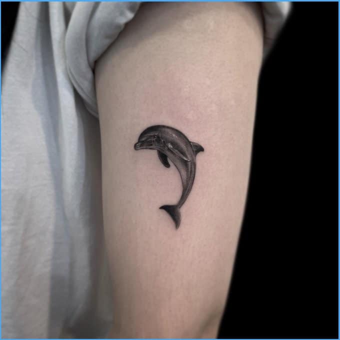 dolphin cover up tattoos