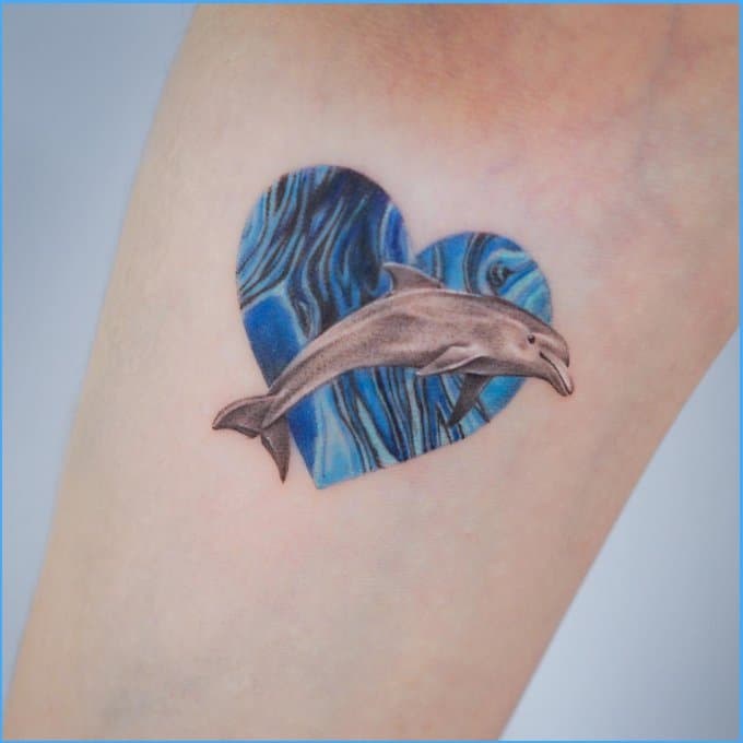 dolphin butterfly tattoos
