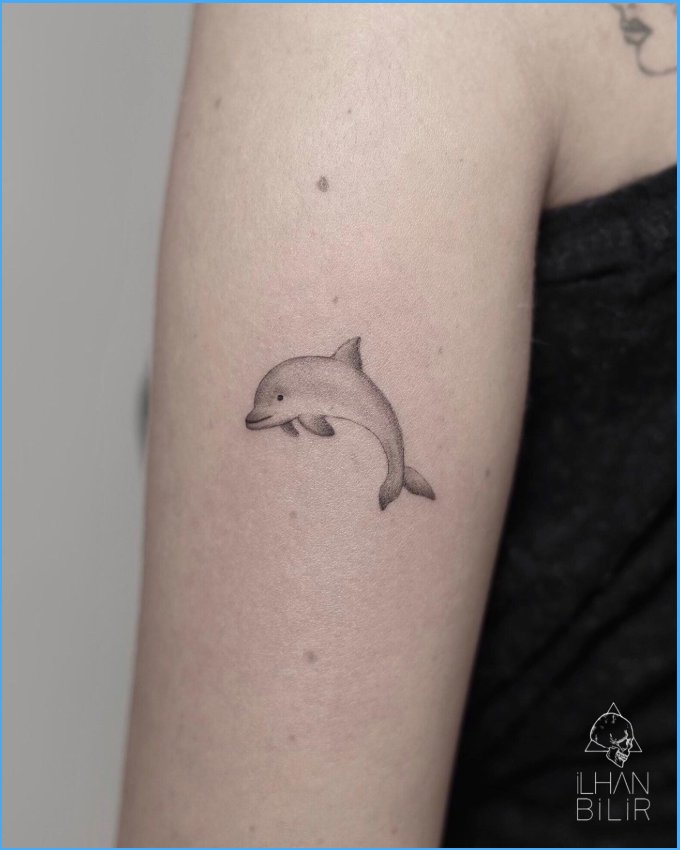 dolphin tattoos simple