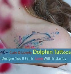 best dolphin tattoos