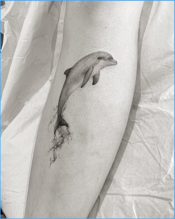 dolphin tattoos small