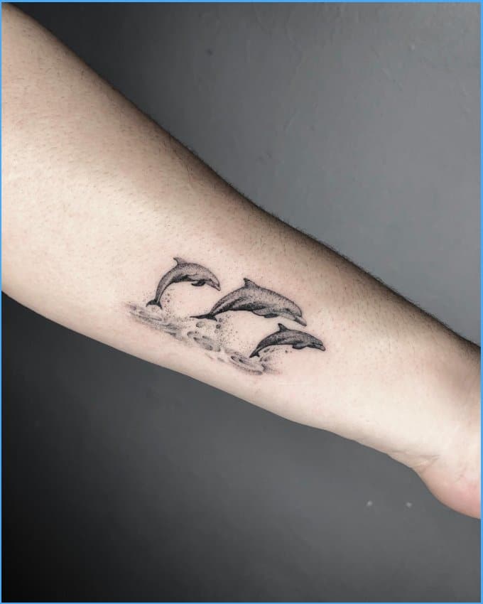 group dolphin tattoos with sunset