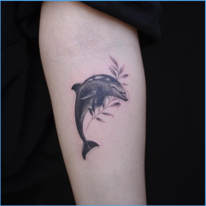 dolphin tattoos black and white