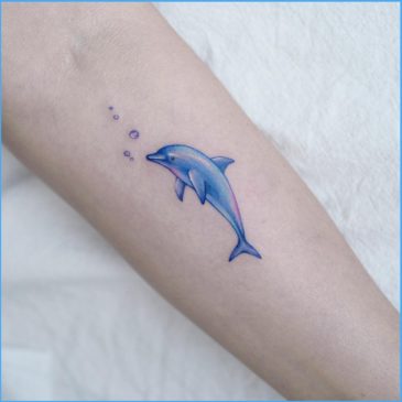 40+ Cute & Lovely Dolphin Tattoos Designs You'll Fall In Love Instantly