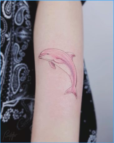 40+ Cute & Lovely Dolphin Tattoos Designs You'll Fall In Love Instantly