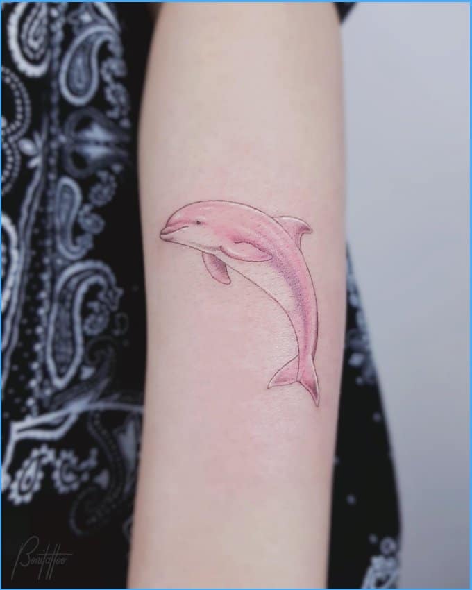 pink color dolphin tattoos
