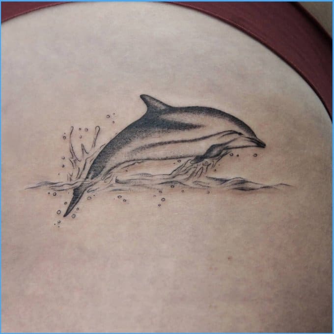 Realism Dolphin tattoo women at theYoucom