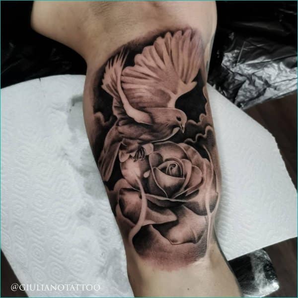 dove with rose tattoo desgins