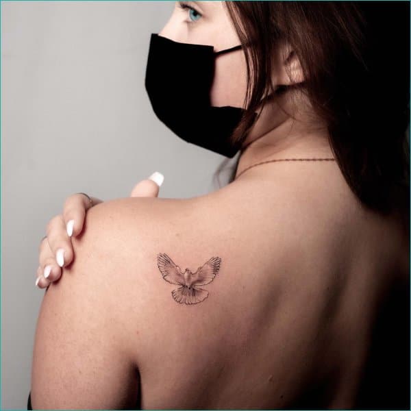 dove tattoos for women on shoulder