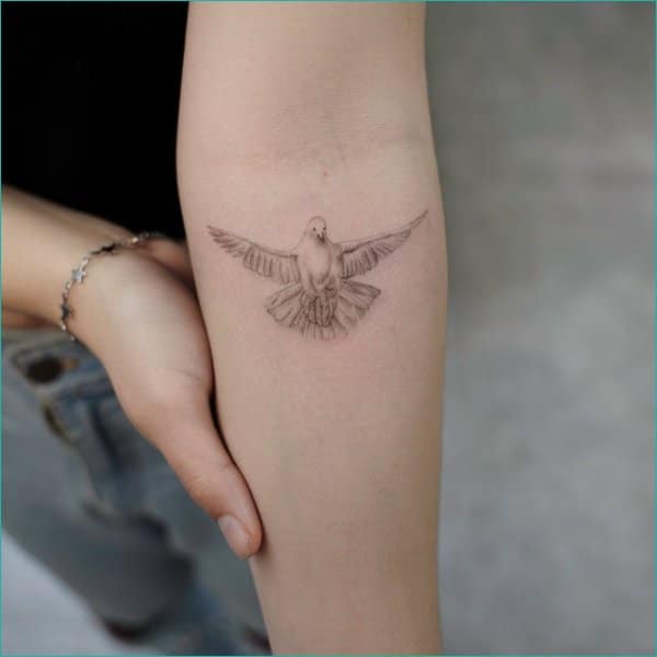 101 Amazing Dove Tattoo Designs You Need To See   Daily Hind News