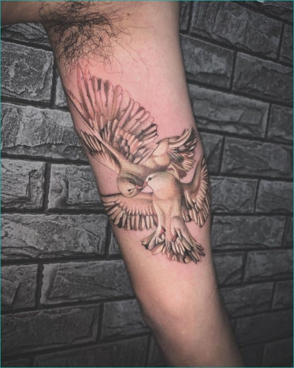 20 Gorgeous Dove Tattoo Ideas For Men  Styleoholic