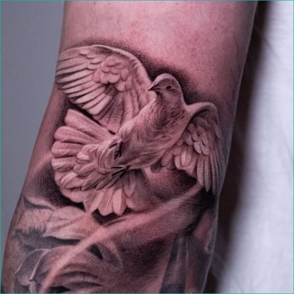 Realistic Chest Dove Tattoo by Elvin Tattoo