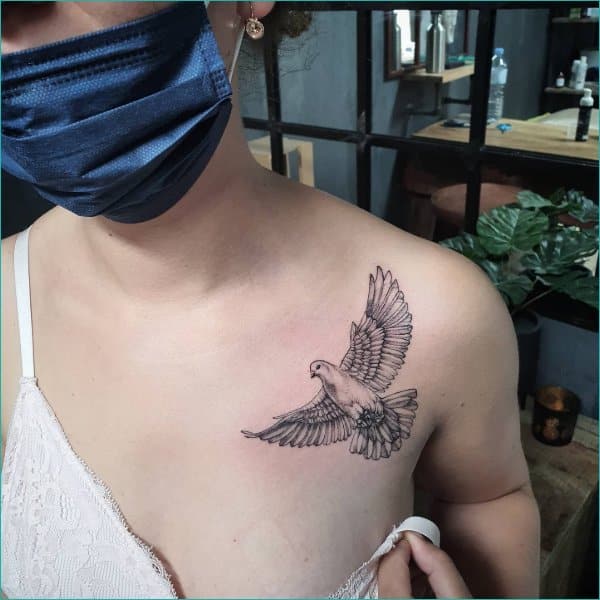 Jen Beirola on Twitter Throat dove and blessed to start what will be a  full neck tattoo necktattoos script blessed RhodeIslandtattoo  httpstcoa8hPpIqlAg  Twitter