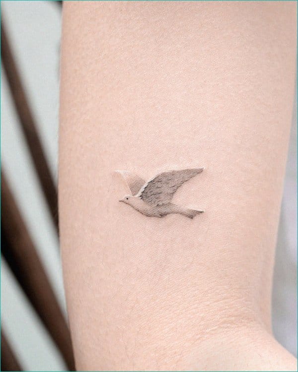 Update more than 65 white ink dove tattoo - vova.edu.vn