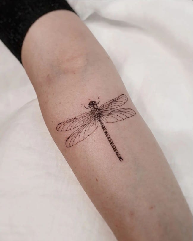 Best 55 Attractive Dragonfly Tattoo Designs 202 Updated