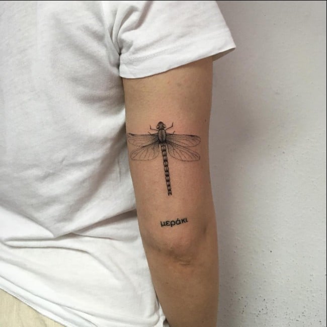 Dragonfly Tattoos - 45+ Cute & Real Dragonfly Tattoos Designs and Ideas