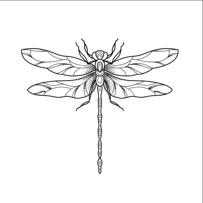 dragonfly tattoo stencil