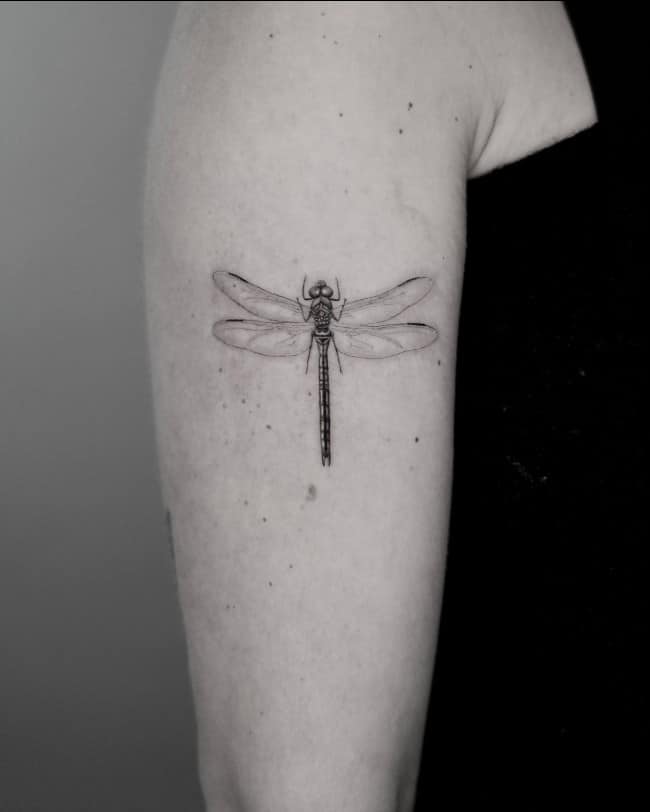 dragonfly tattoo black and white