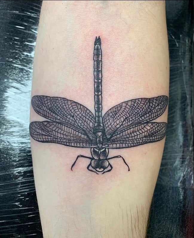 Dragonfly Tattoos - 45+ Cute & Real Dragonfly Tattoos Designs and Ideas