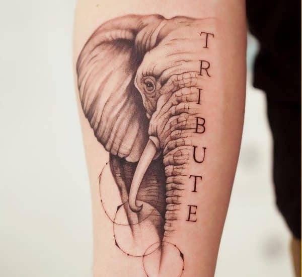 elephant tattoos on arms