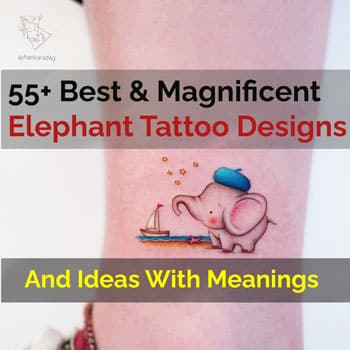 Best Elephant tattoos