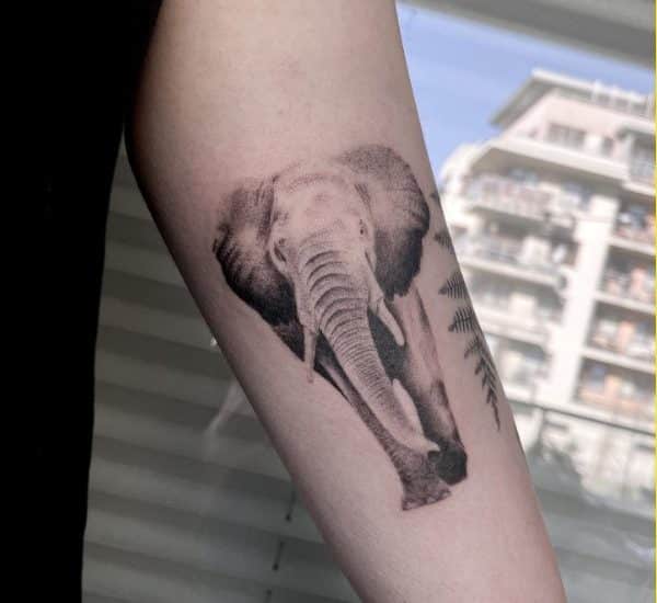 simple elephant tattoos